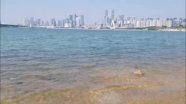 Ловля на мини-воблеры ручной работы в Шэньчжэне