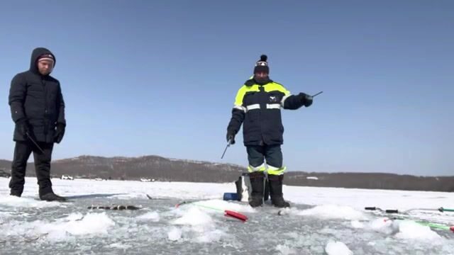 Ловля наваги на блесну и червя в бухте Круглой на Русском острове