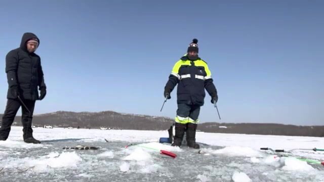 Ловля наваги на блесну и червя в бухте Круглой на Русском острове
