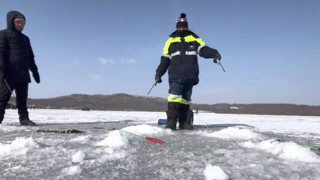 Ловля наваги на блесну и червя в бухте Круглой на Русском острове