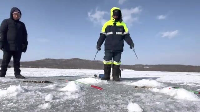 Ловля наваги на блесну и червя в бухте Круглой на Русском острове