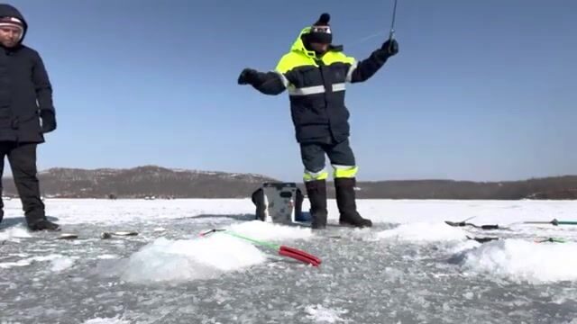Ловля наваги на блесну и червя в бухте Круглой на Русском острове