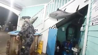 Норфолк, США: Ocean View Fishing Pier и выезд по Виргинии