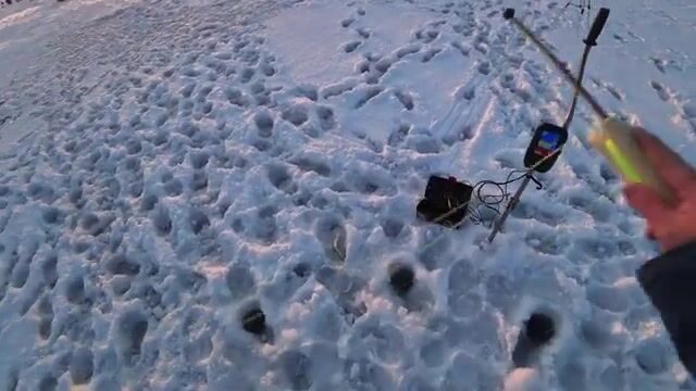 Вялая навага в бухте Новик у острова Русский отозвалась только на зеленую блесну