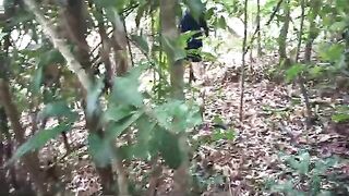 Озеро Зыонгдонг на Фукуоке: пресная вода рядом с морем