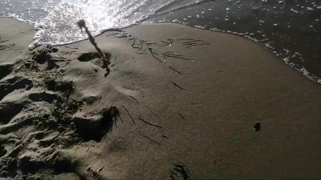 Семейный выезд к воде: палатка, удочки и спокойный темп