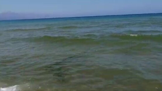 Семейный выезд к воде: палатка, удочки и спокойный темп
