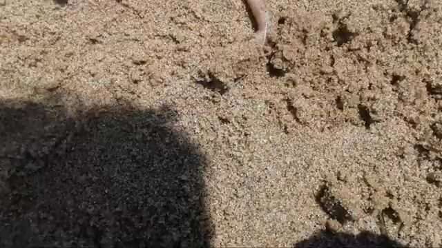 Семейный выезд к воде: палатка, удочки и спокойный темп