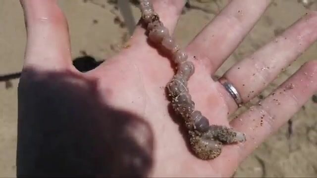Семейный выезд к воде: палатка, удочки и спокойный темп