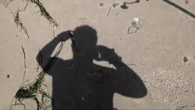 Семейный выезд к воде: палатка, удочки и спокойный темп