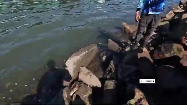 Ультралайт на острове Говернадор: горбыли на креветку