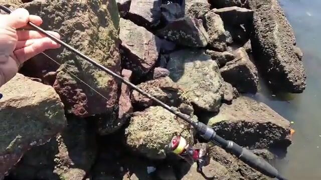Ультралайт на острове Говернадор: горбыли на креветку