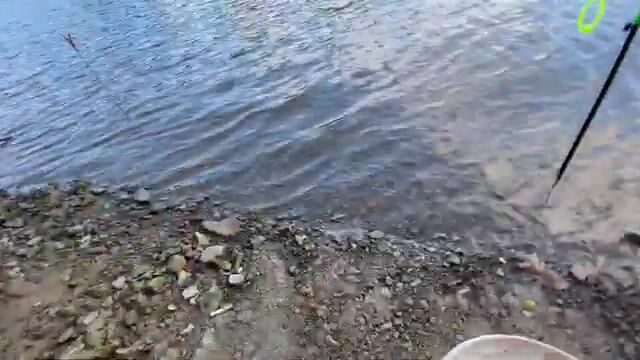 Вечер на водохранилище Фириза в Марамуреше без единой поклевки
