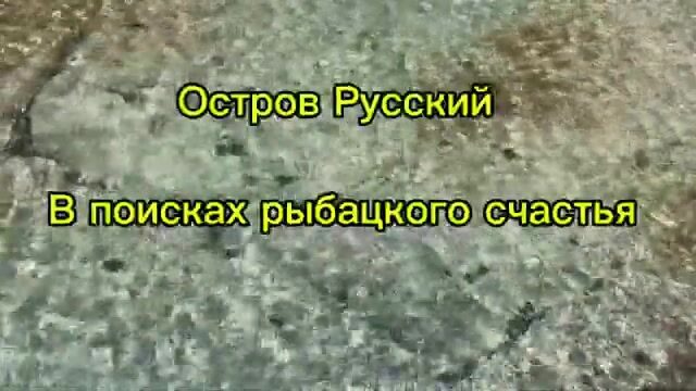 Темный окунь Шлегеля с дальнего рифа острова Русский на виб 21 грамма