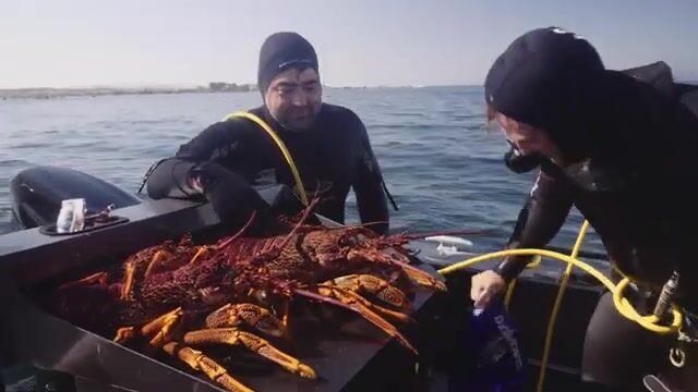 Переход через Бассов пролив и ночевка на берегу Кинг-Айленда