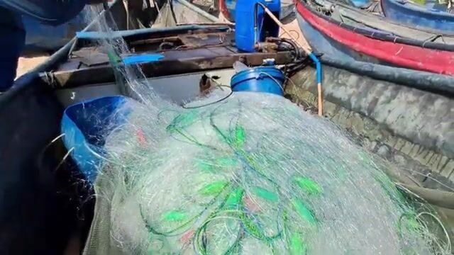 На пляже Хотрам встретили лодку с крупной морской рыбой