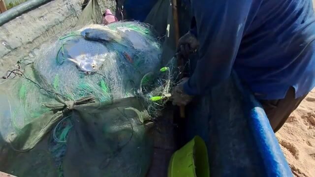 На пляже Хотрам встретили лодку с крупной морской рыбой