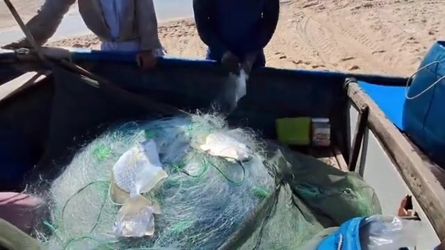 На пляже Хотрам встретили лодку с крупной морской рыбой