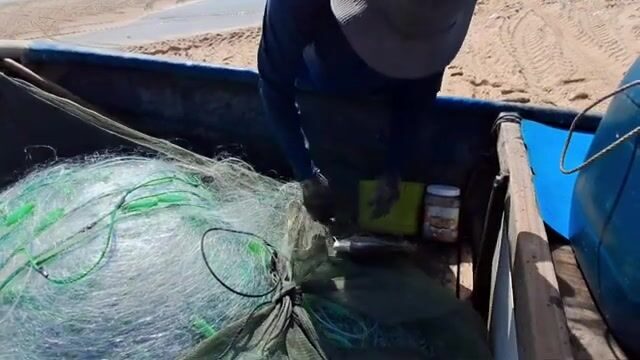 На пляже Хотрам встретили лодку с крупной морской рыбой