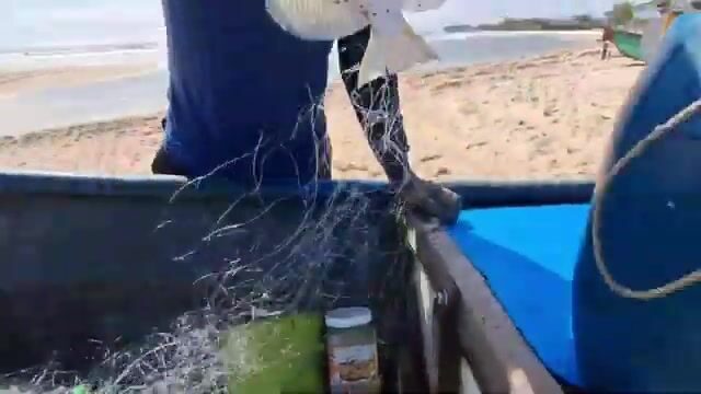 На пляже Хотрам встретили лодку с крупной морской рыбой