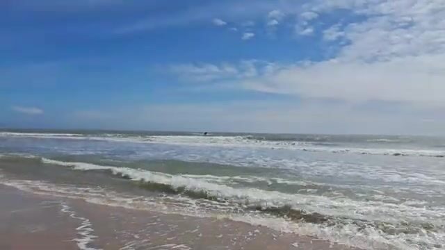 На пляже Хотрам встретили лодку с крупной морской рыбой