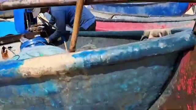 На пляже Хотрам встретили лодку с крупной морской рыбой