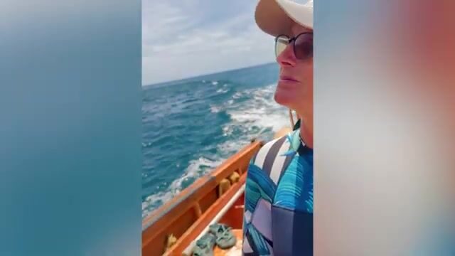 Погружение за крылатками у берега Доминики с Cabrits Dive Center