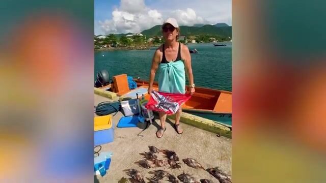 Погружение за крылатками у берега Доминики с Cabrits Dive Center