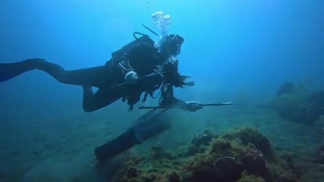 Погружение за крылатками у берега Доминики с Cabrits Dive Center