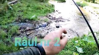 Апусени, Румыния: речная форель и маршрут с рыболовным гидом