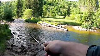Апусени, Румыния: речная форель и маршрут с рыболовным гидом