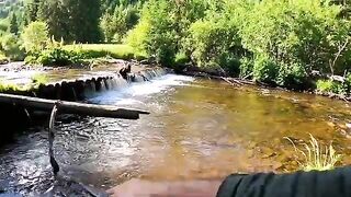 Апусени, Румыния: речная форель и маршрут с рыболовным гидом