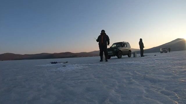 Поиск зубаря в бухте Рында на Русском закончился тремя навагами и двумя зубарями