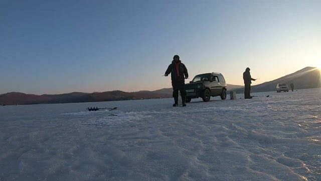 Поиск зубаря в бухте Рында на Русском закончился тремя навагами и двумя зубарями