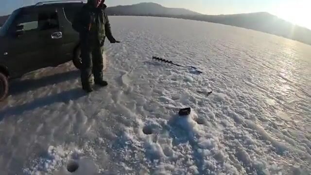 Поиск зубаря в бухте Рында на Русском закончился тремя навагами и двумя зубарями