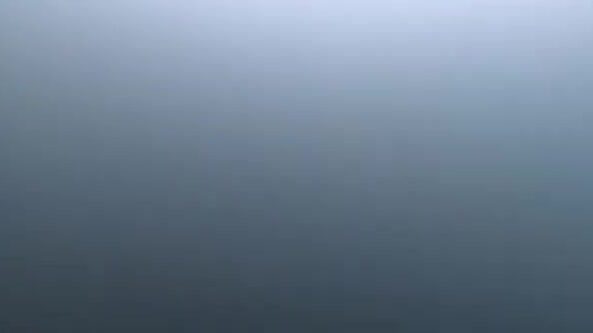 Поиск зубаря в бухте Рында на Русском закончился тремя навагами и двумя зубарями