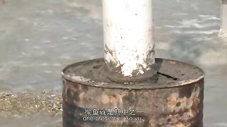 Китай: рыбацкий сюжет Wish и подготовка морского маршрута