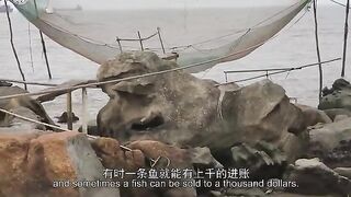 Китай: рыбацкий сюжет Wish и подготовка морского маршрута