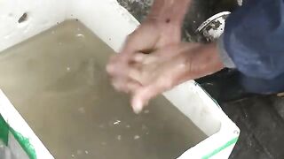 Китай: рыбацкий сюжет Wish и подготовка морского маршрута