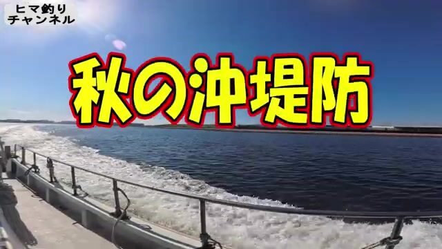 Утренний береговой джиг на волнорезе в Осаке закончился лишь ящероголовом