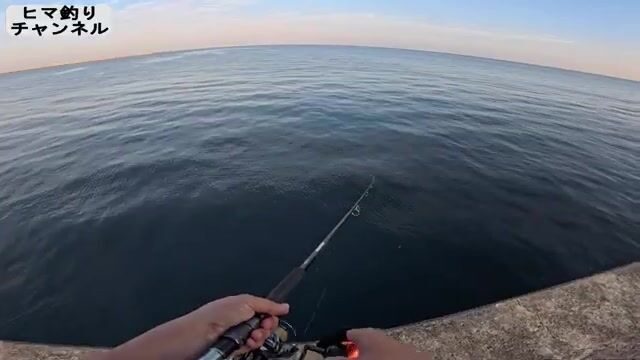 Утренний береговой джиг на волнорезе в Осаке закончился лишь ящероголовом