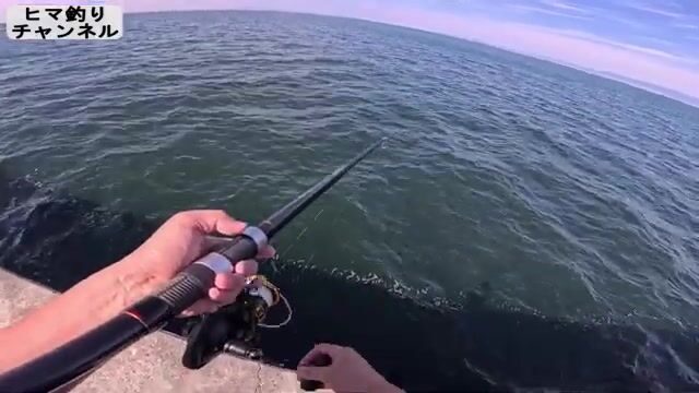 Утренний береговой джиг на волнорезе в Осаке закончился лишь ящероголовом