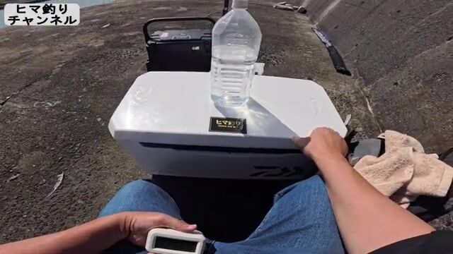 Утренний береговой джиг на волнорезе в Осаке закончился лишь ящероголовом