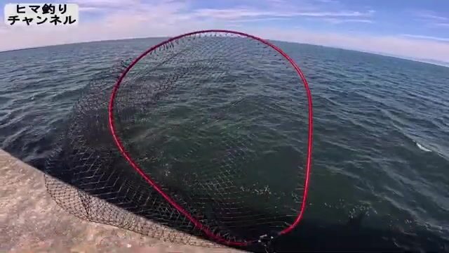 Утренний береговой джиг на волнорезе в Осаке закончился лишь ящероголовом