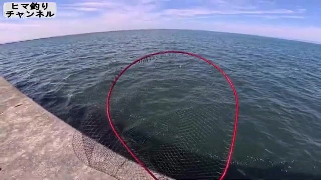 Утренний береговой джиг на волнорезе в Осаке закончился лишь ящероголовом
