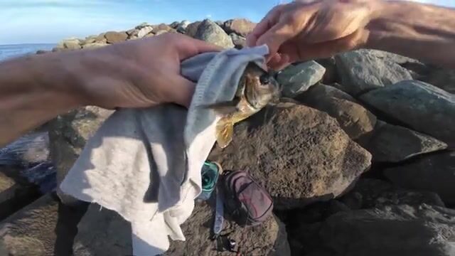 Ловля на легкий джиг с берега в Трабзоне