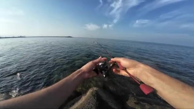 Ловля на легкий джиг с берега в Трабзоне