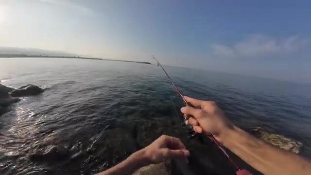 Ловля на легкий джиг с берега в Трабзоне
