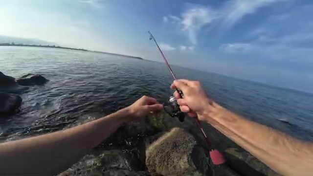 Ловля на легкий джиг с берега в Трабзоне
