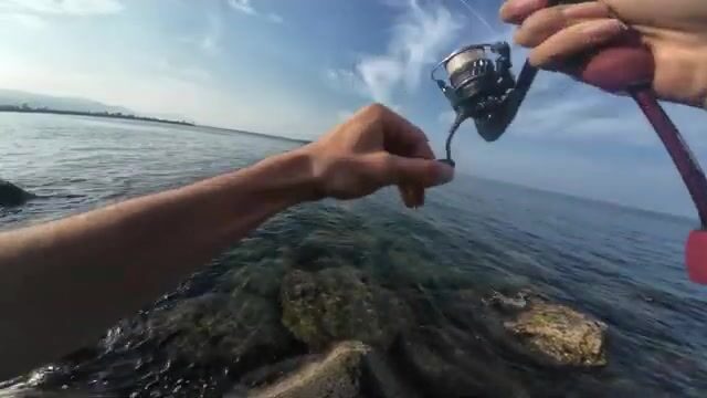 Ловля на легкий джиг с берега в Трабзоне